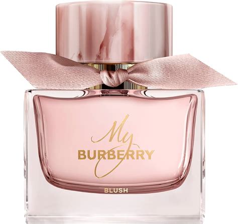 burberry buy now